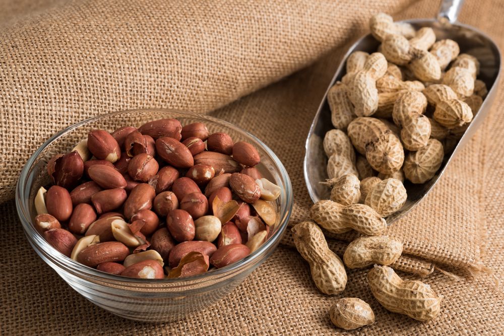 Bold Peanut Seeds – PRMComex